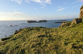 Velkommen til Lila Buckingham