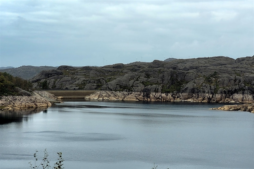 Funker vannmagasiner som gyteplass for fisk?