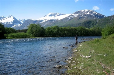 Hydropower development altered the genes of the Eira salmon