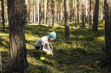 Å verdsette naturen riktig er viktig for å løse naturkrisen