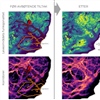 Simulering av effekten av foreslåtte avbøtende tiltak på Hjerkinn – Snøhetta Villreinområde. Bilde fra https://sites.google.com/view/reindeermapsnorway (CC BY-SA)