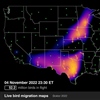 Dokter, A. M. 2022. BirdCast, live migration map; 04/11/2022 23:30 ET. Cornell Lab of Ornithology. birdcast.info/live-migration-maps 