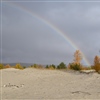 Sanddyner har høy verdi både for naturmangfoldet og for samfunnet som bruker områdene. Forskere foreslår tiltak for å ta vare på denne naturtypen. Foto: Marianne Evju, NINA 