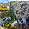 Avfall som lå ved en leirplass på Røvoltjønnan sommeren 2022. Foto: Rose Keller/NINA