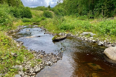 Naturavtalen skal hjelpe oss å reparere kloden