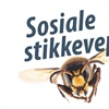 Ny plakat: Sosiale stikkevepser i Norge. Foto: Arnstein Staverløkk / NINA