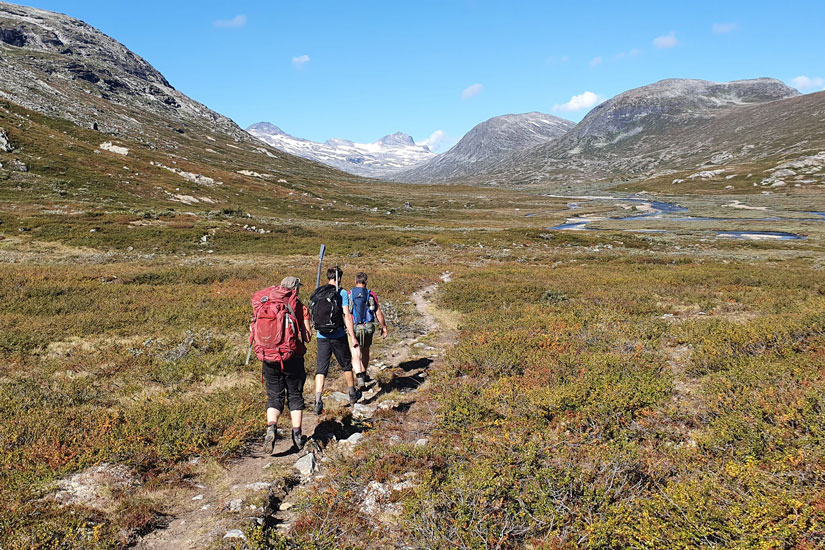 Ferske turister inntar Reinheimen nasjonalpark