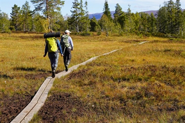 Peatland restoration and conservation – lessons from northern and central Europe