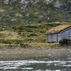 Sverming av gjendeflue i Gjendeosen. Foto: Knut Andreas Eikland (NINA)