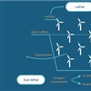 The pathways by which seabirds can be impacted by offshore wind farms 