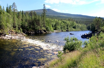 Ulike målemetoder avdekket store forskjeller i elvenes miljøtilstand