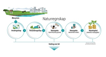 Seminar om naturregnskap