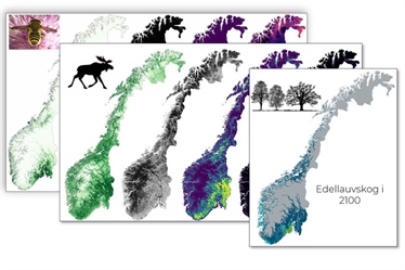 Nationwide mapping of green infrastructure in Norway