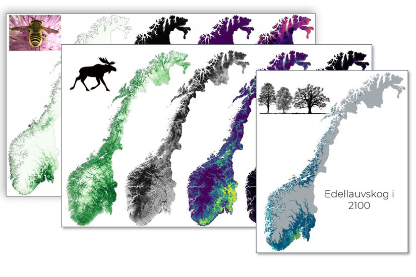 Nationwide mapping of green infrastructure in Norway