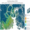 Vi kan forvente at det egnede habitatet for edellauvskog utvider seg nordover og opp i høyden mot 2100. Mengden habitat som vil bli egnet i 2100 vil være langt større enn arealet som de ulike artene faktisk vil kunne kolonisere naturlig.