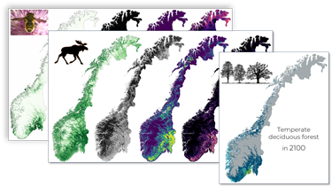 Nationwide mapping of green infrastructure in Norway