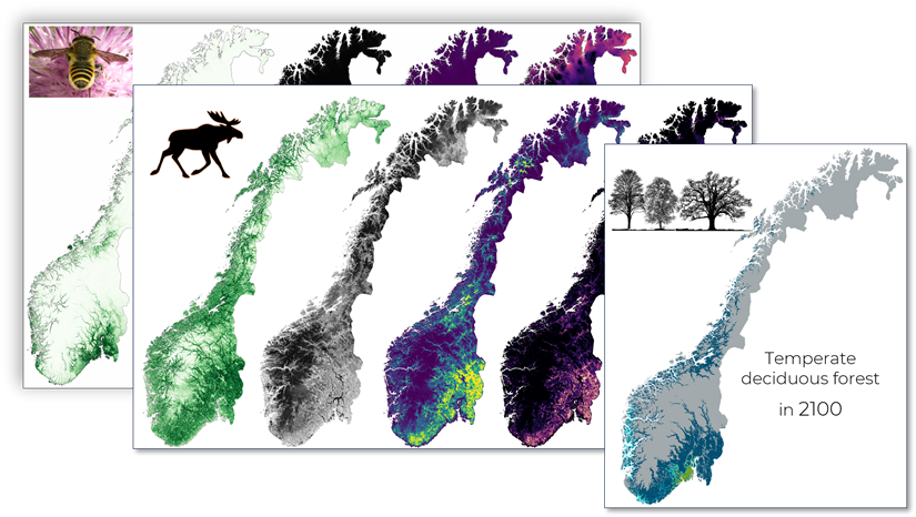 Nationwide mapping of green infrastructure in Norway