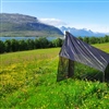 Innsamling av innsekter i en malaisefelle på en lokalitet i Troms, med Kågen i bakgrunnen. Foto: Vegar Seljestokken, NINA