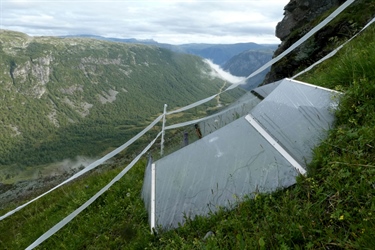 Understanding climate warming impacts on carbon release from the tundra