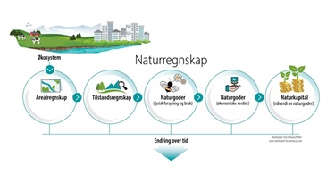 Seminar om naturregnskap