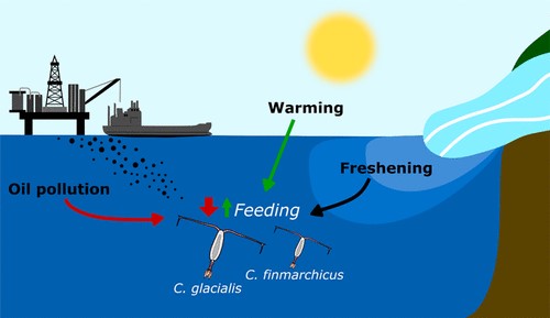 Cumulative impacts of oil production and ocean warming in the Arctic