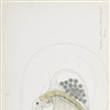 Gelékreps (Holopedium gibberum), tegnet av den norske zoologen G. O. Sars, opprinnelige tegninger. Gelékreps er regnet som følsom for tilførsel av næringsstoffer.