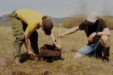 Revitalizing Slovak Peatlands