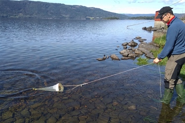 Zooplankton as water quality indicators