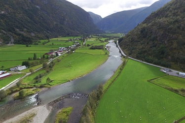 Forskere foreslår tiltak for laksen i Lærdalselva