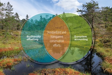 Connecting Ecosystem Accounting and Biodiversity Offsetting: A Path to Standardized and Transparent Conservation Efforts