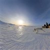 For første gang slippes valper fra Avlsprogrammet for fjellrev ut i det fri utstyrt med GPS. Valpene som ble satt ut i Sylan vil gi forskerne verdifull informasjon i arbeidet med å redde den sterkt truete arten. Mannskapet er fra NINA, SNO og Länssty