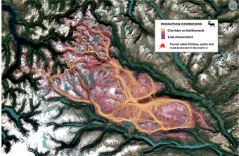 Simulating Removal of a Popular Tourist Cabin: Consequences for Wild Reindeer
