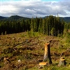 Foto: Anne Sverdrup-Thygeson.