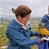 Veterinær Marianne Waldum Furnes og seniorforsker Craig Jackson er klare for å vaksinere fjellrevene i avlsstasjonen på Sæterfjellet. Vaksinen beskytter mot flere alvorlige sykdommer. Foto: Kristine Ulvund, NINA
