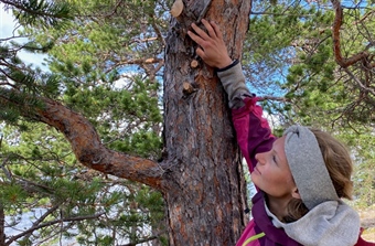 Instagram kan bidra til å forhindre forsøpling og naturskader i nasjonalparker