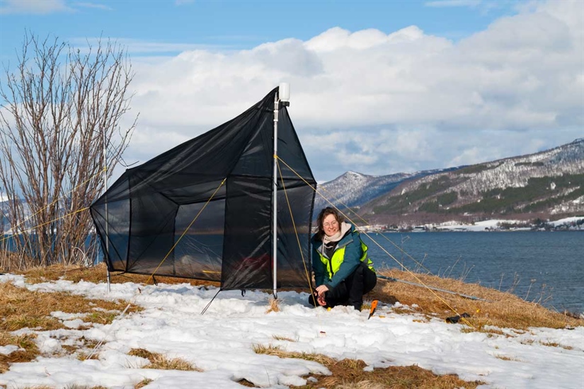 The traps are set in Norway's country-wide insect monitoring program