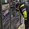 Mange blindpassasjerer skjuler seg blant plantene som blir kjørt over landegrensen. Foto: Anders Often.