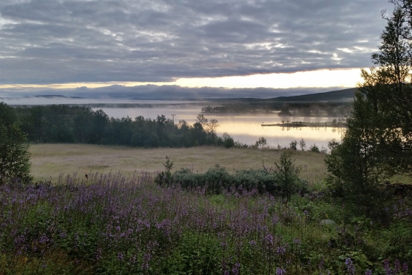 Mennesker og natur tåler ikke mer økonomisk vekst, så hva gjør vi?