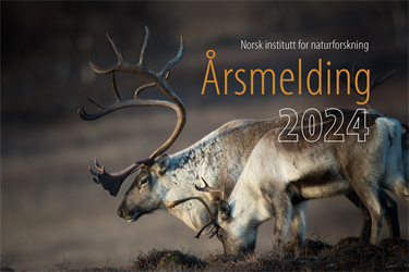 NINA Annual Report 2024