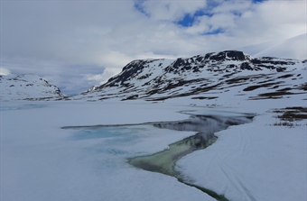 Changing Winters Will Hit Arctic Lakes the Hardest