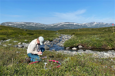 Boreal plants colonise the Arctic and could transform tundra landscapes