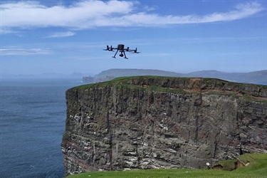 Can new technologies improve seabird monitoring?