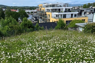 Vil gjøre det lettere for alle å restaurere natur