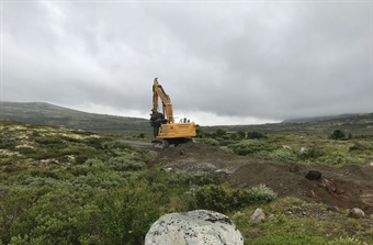 Ny digital verktøykasse styrker yrkesopplæringen innen naturrestaurering