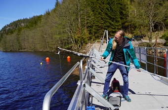 Nytt gjerde leder 3 av 4 laks  trygt forbi kraftverket i Mandalselva