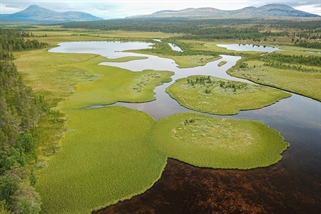 Over 200 naturtyper står i fare for å gå tapt