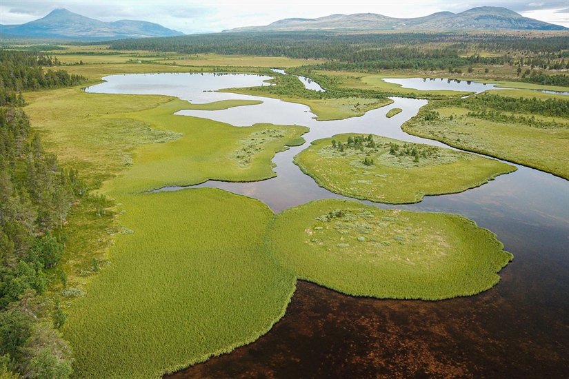 Over 200 naturtyper står i fare for å gå tapt