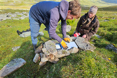 Smågnagerkrasj gir trøbbel for livet i fjellet