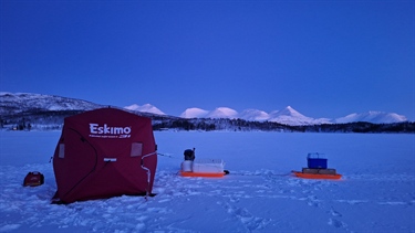 First successful winter campaign of the FROST team