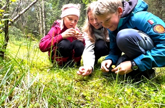Barn og unge får fikse ødelagt natur
